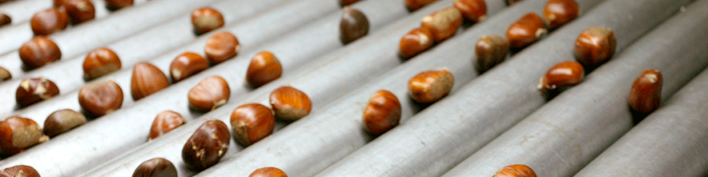 Cortadas para asar 2